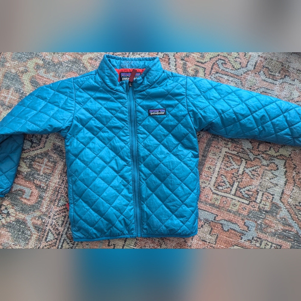 Patagonia Nano Puff Blue Quilted Jacket